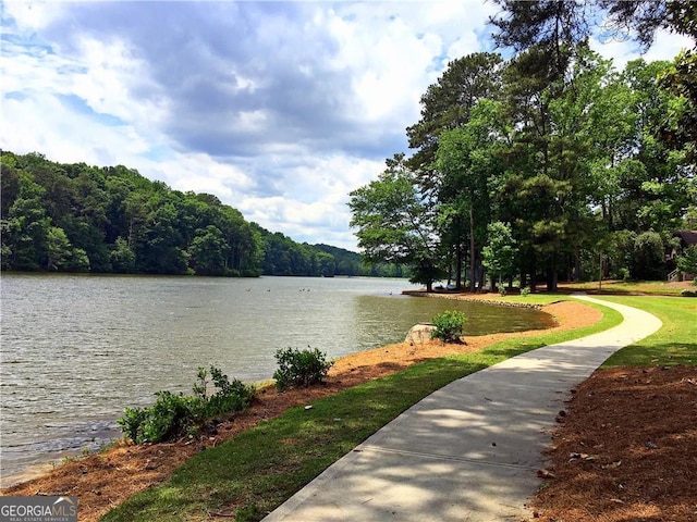 water view with a forest
