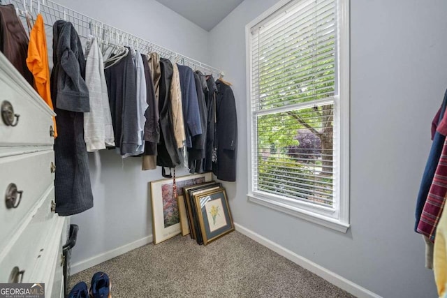295 River Laurel Way, Woodstock, GA 30188 - spacious closet with carpet