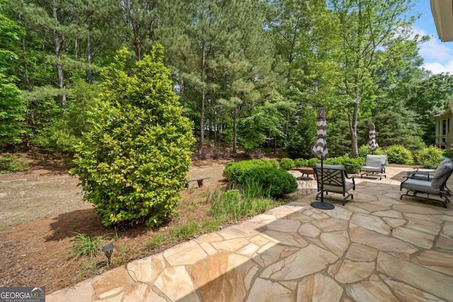 295 River Laurel Way, Woodstock, GA 30188 - view of patio / terrace