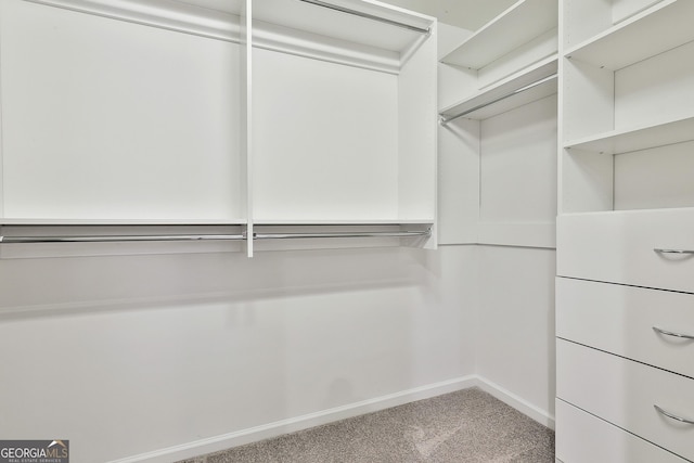 70 Pacific Ave, Sharpsburg, GA 30277 - spacious closet with carpet