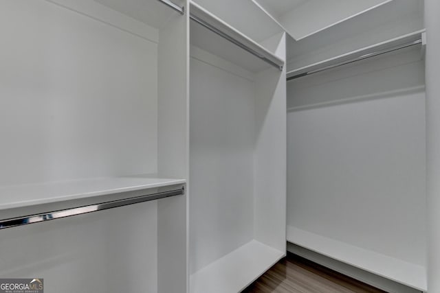 spacious closet with dark wood-style floors