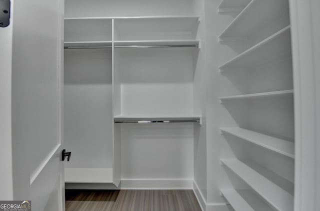 spacious closet featuring dark wood-style floors