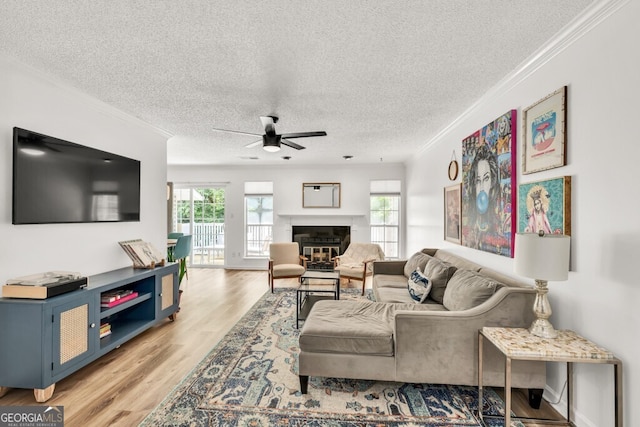1750 Clairmont Rd Unit 32, Decatur, GA 30033 - living area with ornamental molding, ceiling fan, light wood finished floors, a glass covered fireplace, and a textured ceiling