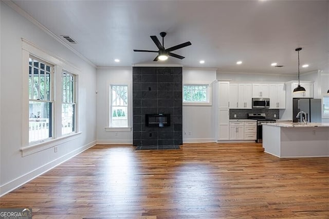 1120 Arlington Ave SW, Atlanta, GA 30310 - kitchen with a healthy amount of sunlight, ornamental molding, stainless steel appliances, and wood finished floors