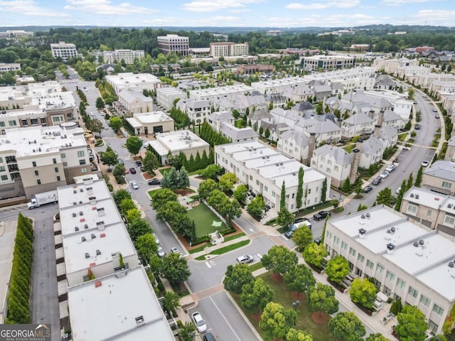 316 S Esplanade, Alpharetta, GA 30009 - birds eye view of property