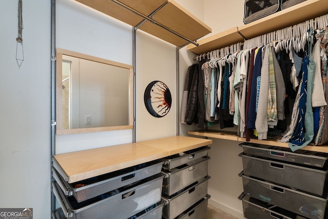 view of spacious closet