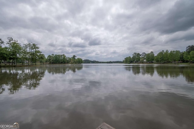 96 Portico Pl, Newnan, GA 30265 - water view