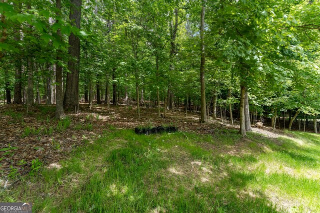 5830 Wilbanks Dr, Peachtree Corners, GA 30092 - view of woods