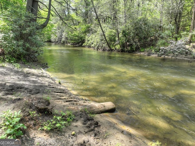 property view of water featuring a wooded view