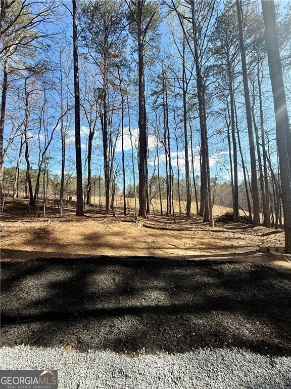 5075 Forest Downs Ln, Atlanta, GA 30349 - view of local wilderness
