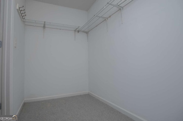 spacious closet with carpet