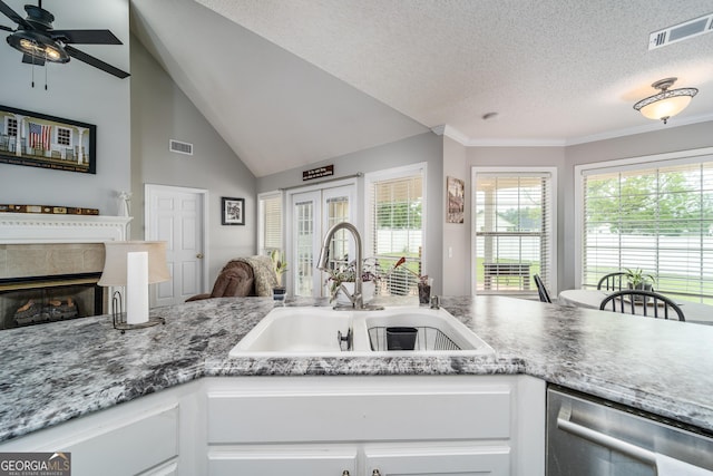 3808 Deer Run Dr, Blackshear, GA 31516 - kitchen with stainless steel dishwasher, a textured ceiling, visible vents, and a sink