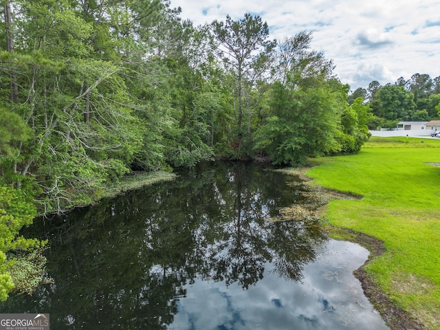 3808 Deer Run Dr, Blackshear, GA 31516 - water view