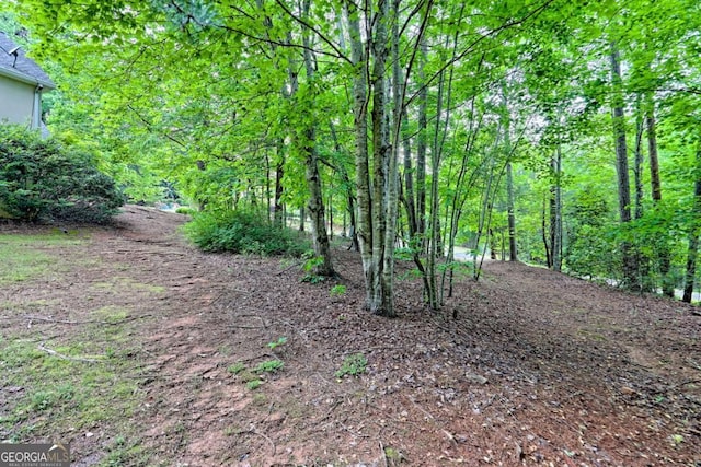 view of local wilderness with a wooded view
