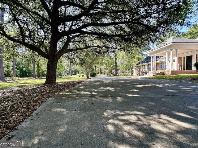view of street with driveway