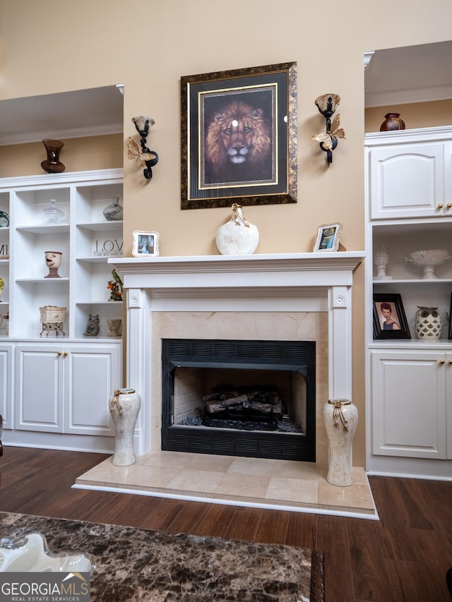 interior details featuring wood finished floors and a premium fireplace
