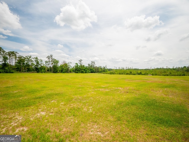 view of local wilderness