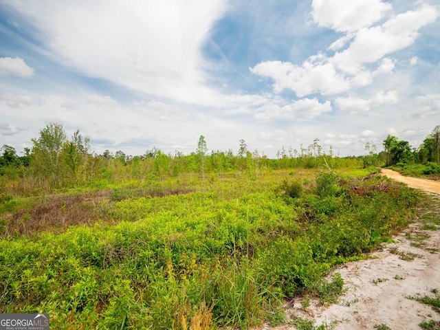 view of local wilderness