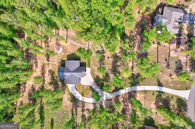 drone / aerial view