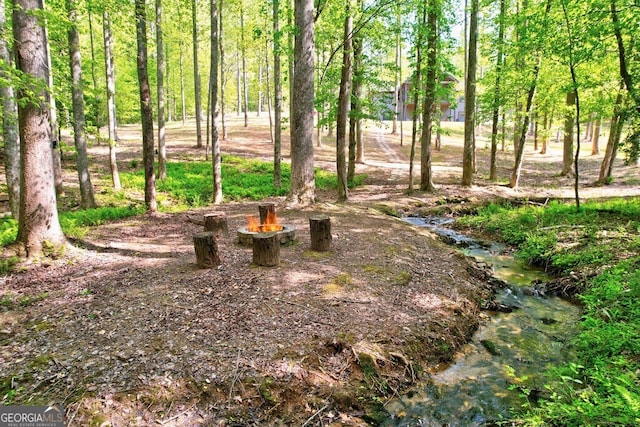 view of yard featuring a fire pit