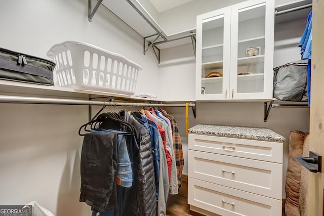 walk in closet with dark wood-type flooring