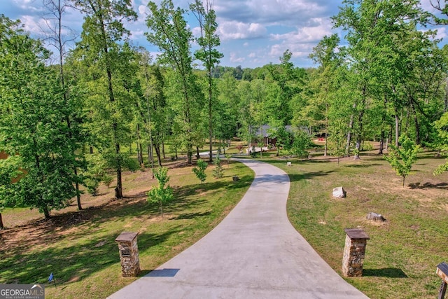 view of property's community featuring a yard