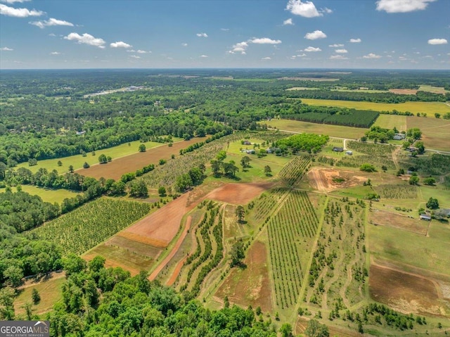 bird's eye view with a rural view