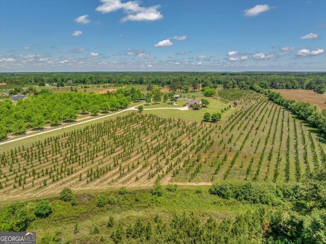 bird's eye view featuring a rural view