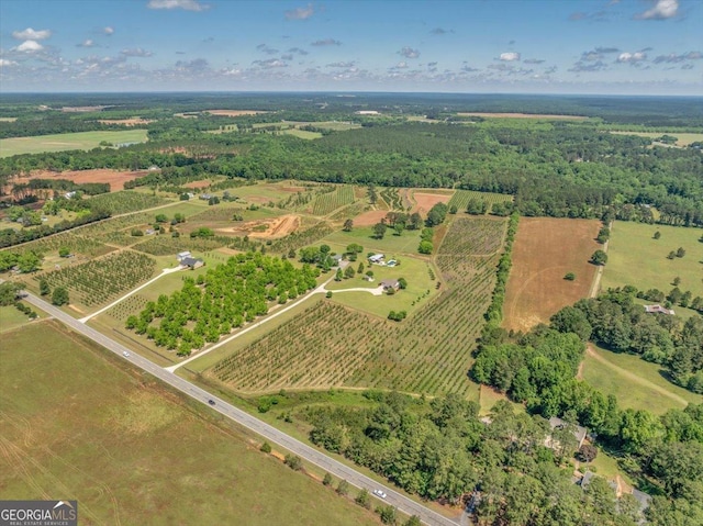 drone / aerial view featuring a rural view