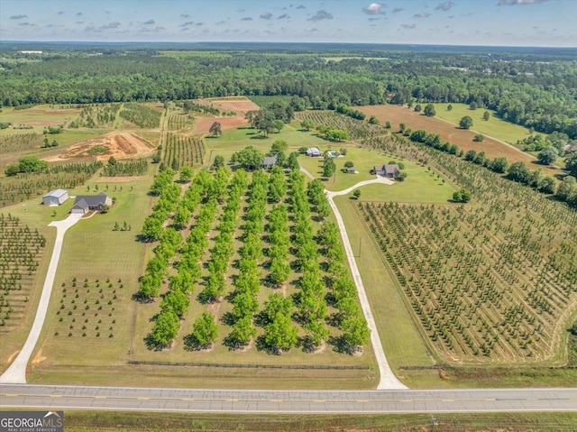 bird's eye view featuring a rural view