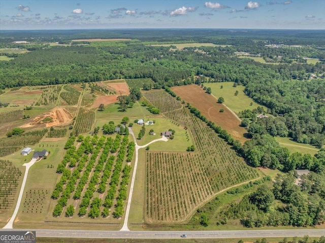 birds eye view of property featuring a rural view