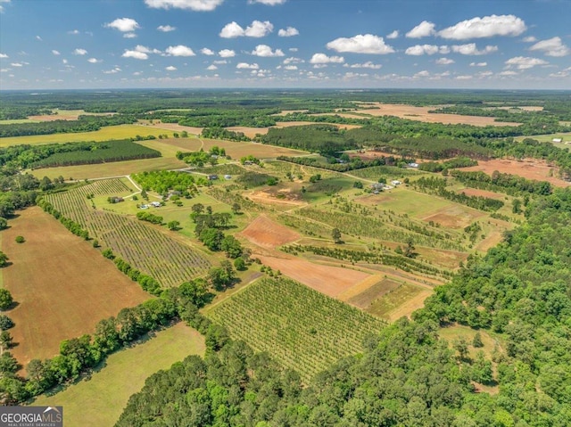 birds eye view of property with a rural view