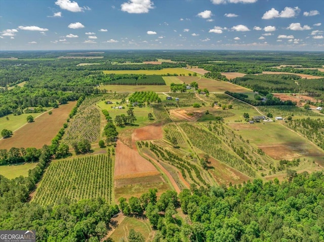birds eye view of property with a rural view