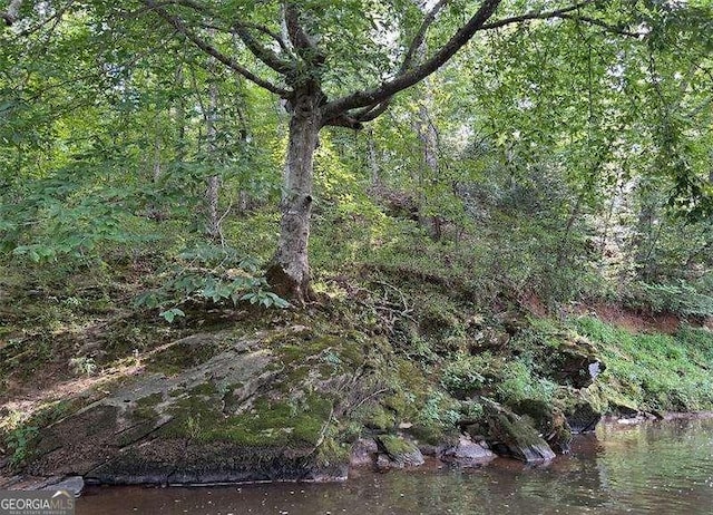 view of local wilderness featuring a forest view