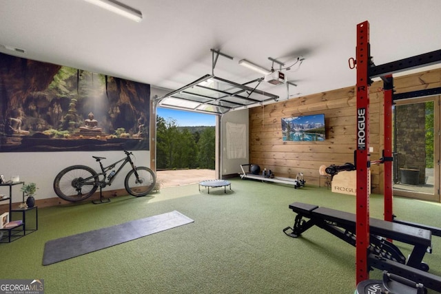 51 Birdseye Vw, Blue Ridge, GA 30513 - workout area with carpet flooring and wooden walls