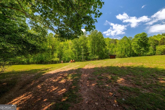 51 Birdseye Vw, Blue Ridge, GA 30513 - view of yard with a wooded view, an outdoor structure, and a storage shed