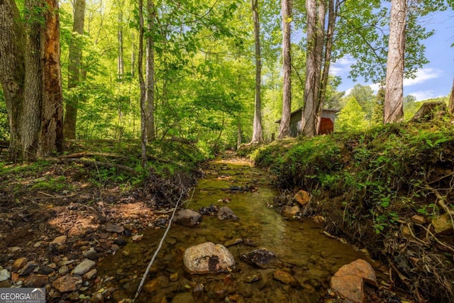 51 Birdseye Vw, Blue Ridge, GA 30513 - view of landscape featuring a forest view