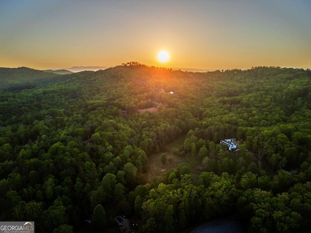 51 Birdseye Vw, Blue Ridge, GA 30513 - aerial view featuring a view of trees