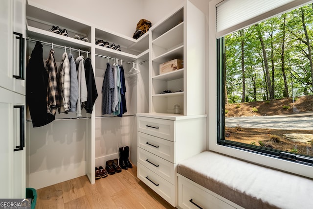 377 Charmont Dr, Tiger, GA 30576 - spacious closet with light wood-type flooring