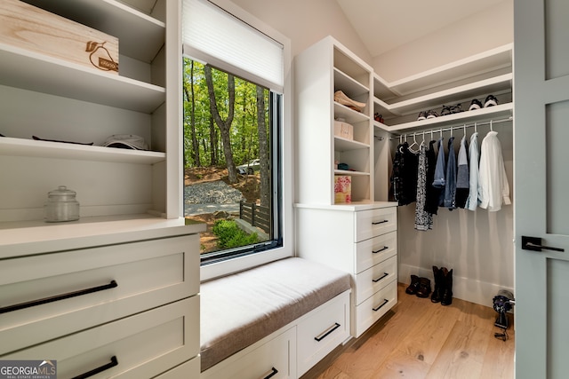 377 Charmont Dr, Tiger, GA 30576 - spacious closet featuring lofted ceiling and light wood-style floors