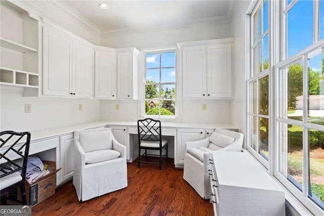 13922 Tree Loft Rd, Milton, GA 30004 - office space with ornamental molding, built in desk, and dark wood finished floors