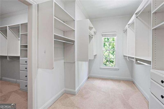 13922 Tree Loft Rd, Milton, GA 30004 - walk in closet featuring light carpet