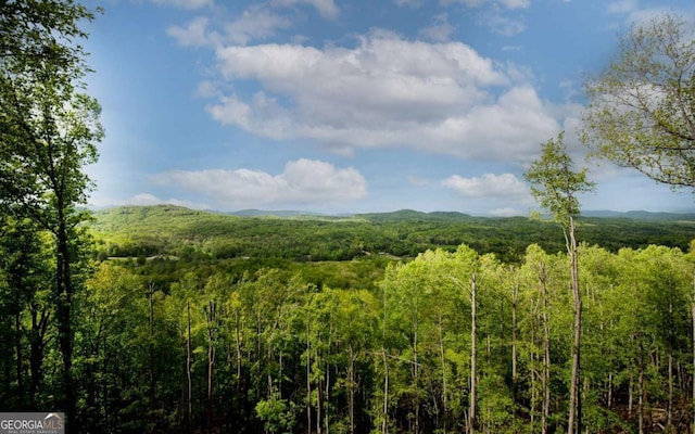 LOT25 Scouts Overlook, Morganton, GA 30560