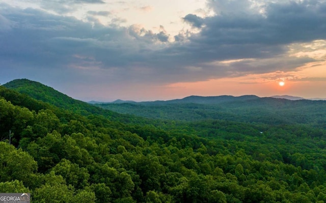 LOT25 Scouts Overlook, Morganton, GA 30560