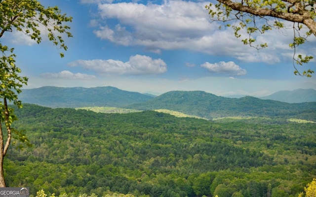 LOT25 Scouts Overlook, Morganton, GA 30560