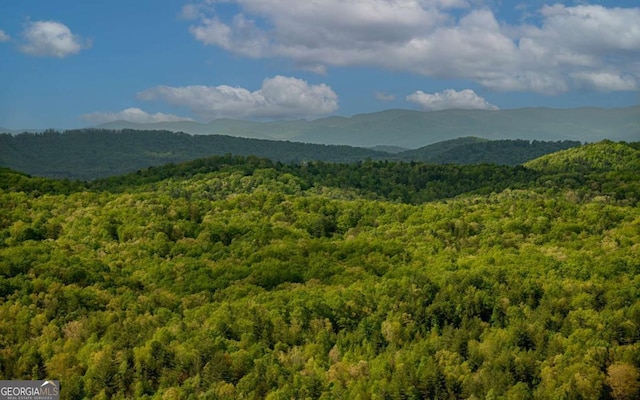 LOT25 Scouts Overlook, Morganton, GA 30560