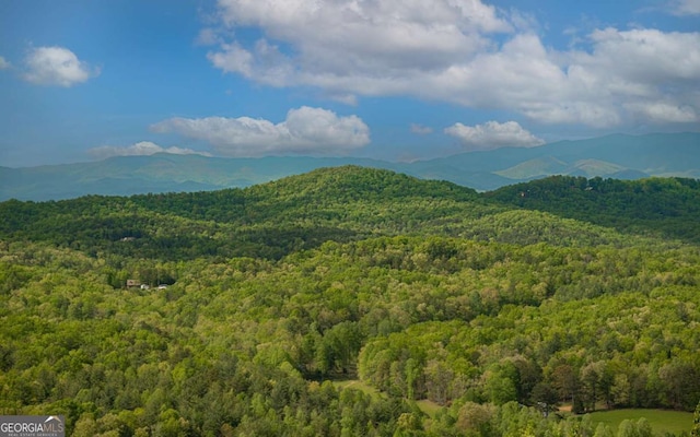 LOT25 Scouts Overlook, Morganton, GA 30560