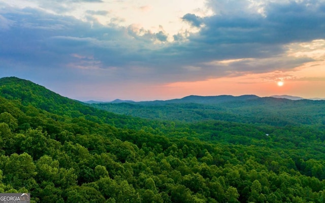 LOT25 Scouts Overlook, Morganton, GA 30560