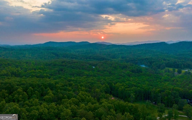 LOT25 Scouts Overlook, Morganton, GA 30560