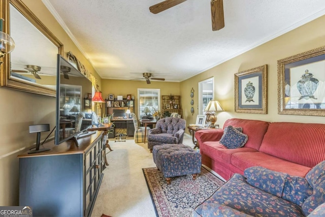 292 Lumpkin St, Winder, GA 30680 - living area featuring a ceiling fan, carpet flooring, ornamental molding, and a textured ceiling